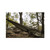 5ive Star Gear 9216000 Camping Hammock All-In-One Kit, 116” x 58”