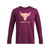 Under Armour 1374847 Men's UA Project Rock Brahma Bull Shirt