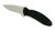 Kershaw 1620 Scallion Folding Knife Assisted SpeedSafe Drop Point 2.40" 420HC Plain Edge Blade, Black Handle