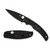 Spyderco C244PBBK Native Chief Lightweight Folding Knife 4.02" CTS BD1N Black Plain Edge Blade, Black FRN Hanlde