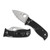 Spyderco C69SBK3 Lil' Temperance 3 Lightweight Folding Knife 2.92" VG-10 Serrated Edge Blade, Black FRN Handle