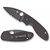 Spyderco C216GPSBBK Efficient Folding Knife 2.98" 8Cr13MoV Black Combo Edge Blade, Black G-10 Handle