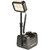 Pelican 9430 Remote Area Light