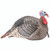 Hunters Specialties HS-STR-100003 Strut-Lite Turkey Decoy Jake, Brown