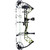 Bear AV54A23047L Legit MAXX RTH Compound Bow Package, 14-30 Inches, 10-70 lbs, Toxic/Black, Left Hand