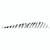 Gateway Barred Feathers 5 Inches, RW, 50 Pack