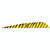 Gateway Barred Feathers 5 Inches, RW, 50 Pack