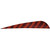Gateway Barred Feathers 4 Inches, RW, 50 Pack