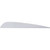 AAE Traditional Vanes, 4 Inches, 50 Pack
