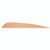 AAE Elite Plastifletch Vanes, 3.875 Inches, 100 Pack