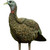 Avian-X AVX-AVX8006 Avian-X Lookout Turkey Decoy, Black