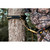 Hunter Safety System SLAP-C Slap Strap Combo, Black, 8 Feet
