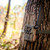 Browning BTC-VPHD-AI Defender Vision Pro HD AI Cellular, 46 MP Trail Camera, Camo