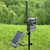 Tactacam R-ACS-V1 Adjustable Camera Stake, Black