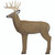 Shooter G71600 Buck Target, Brown