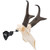 Allen Company 7203 EZ Mount Skull Stand for Deer Size Game, Wood