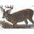 Maple Leaf Press NFA-03 NFAA Animal Faces Group 1 Deer, Brown
