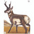 Maple Leaf Press NFA-10 NFAA Animal Faces Group 2 Antelope, Brown