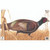 Maple Leaf Press NFA-19 NFAA Animal Faces Group 3 Pheasant, Brown