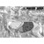 30-06 MSW21-1 Whitetail Paper Target, Multi, 5 Pack