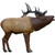 Rinehart 23411 1/3 Scale Elk Target, Brown