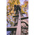 Trophy Treestands TS300 Gladiator Sticks, 20 Feet Height, Brown