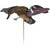 Avian-X AVX-PFLHT Powerflight Hen Decoy for Green-Winged Teal, Brown