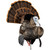 Avian-X AVX-AVX8108 Avian X HDR Strutter Turkey Decoy, Multicolor