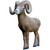 Rinehart 37311 Signature Bighorn Sheep Target, 1/2 Scale, 41 Inches, Brown