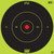 Pro-Shot Products Splatter Shot, Bullseye Paper Target, 12 Inches, 5 Pack