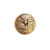 ASP Lapel Pin