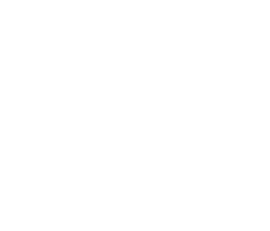 DUNS registered logo