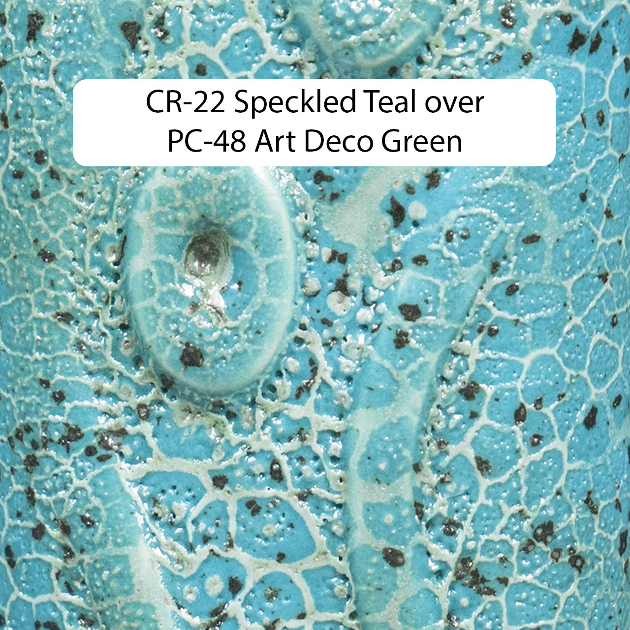 CR-22 Teal