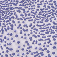 Image of CR-54 Purple on a No.11 A-Mix White Stoneware tile fired to cone 5.