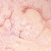 Up close image of CR-17 Flux over C-53 Weeping Plum on White Chocolate No.16, fired to Cone 6.