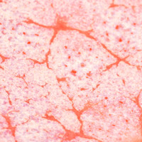 Up close image of CR-17 Flux over C-55 Poppy on White Chocolate No.16, fired to Cone 6.