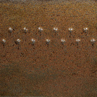 PC-69 Cosmic Gold Dust