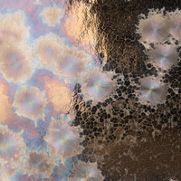 CO-03 Event Horizon Cone 5 Swatch