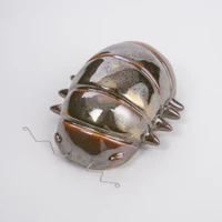 CO-05 Dark Matter Bug Sample Object Cone 6