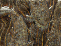 TH-1 High Fire Texturizer