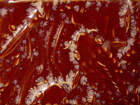 TH-1 High Fire Texturizer