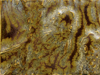 TH-1 High Fire Texturizer