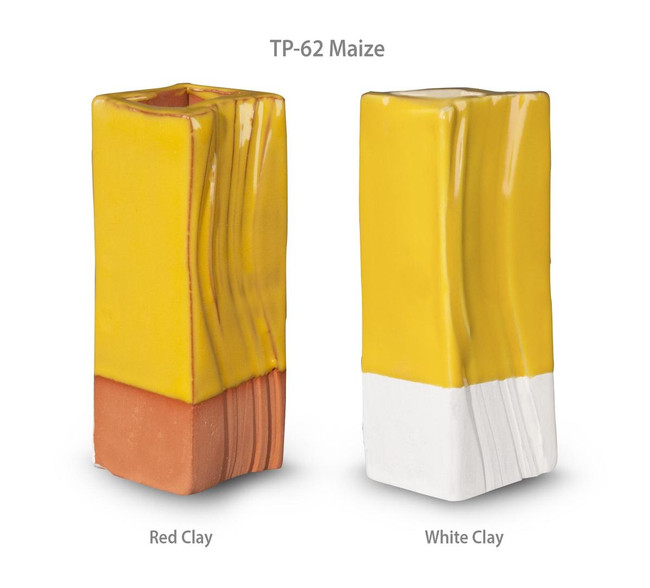 TP-62 Maize