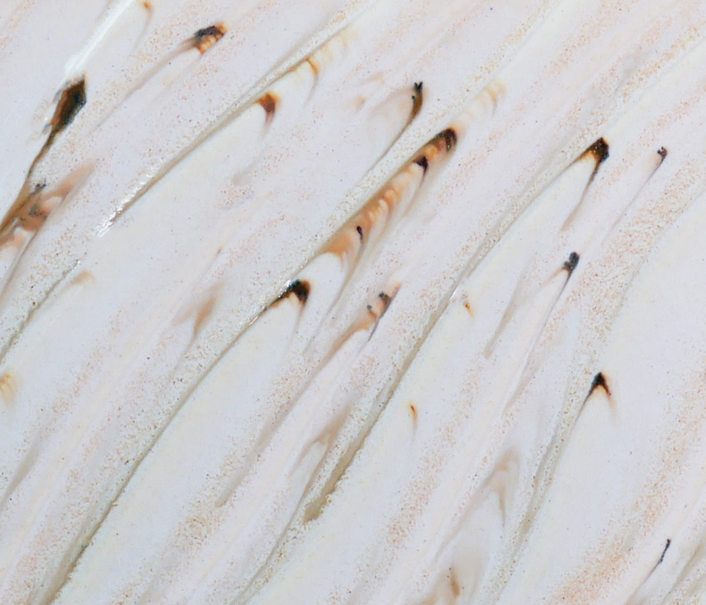 (PCF) Potter's Choice Flux