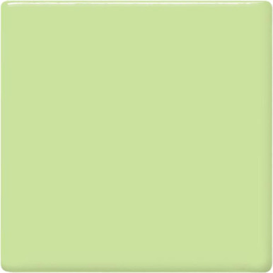 What is the color of Mint Green?