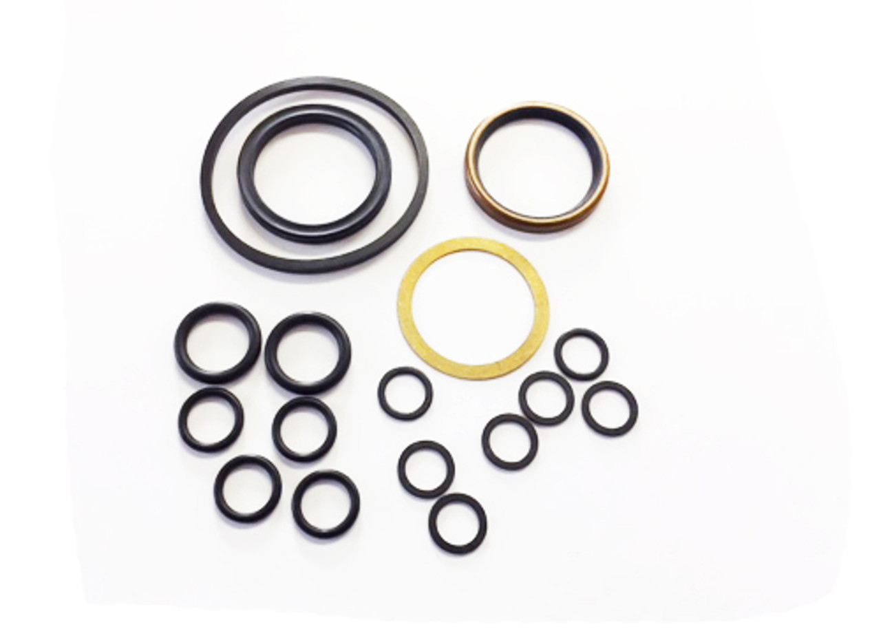 511228 Orbital Motor Seal Kit, Series 005