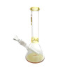 Infyniti 10" Beaker with Ice Pinch & Colour Accents