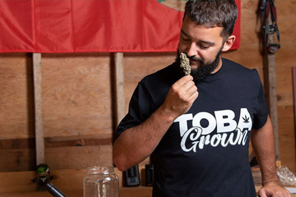 THE TOBAGROWN PROJECT CHALLENGES MANITOBA'S HOMEGROWN CANNABIS PROHIBITION