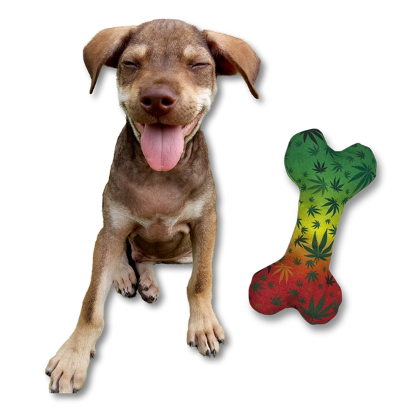 PAW:20 Stoned to the Bone Squeaker Dog Toy - 8"