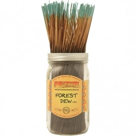 Wild Berry - Forest Dew - 100 Pack